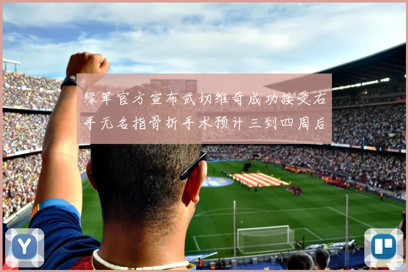 绿军官方宣布武切维奇成功接受右手无名指骨折手术预计三到四周后复查